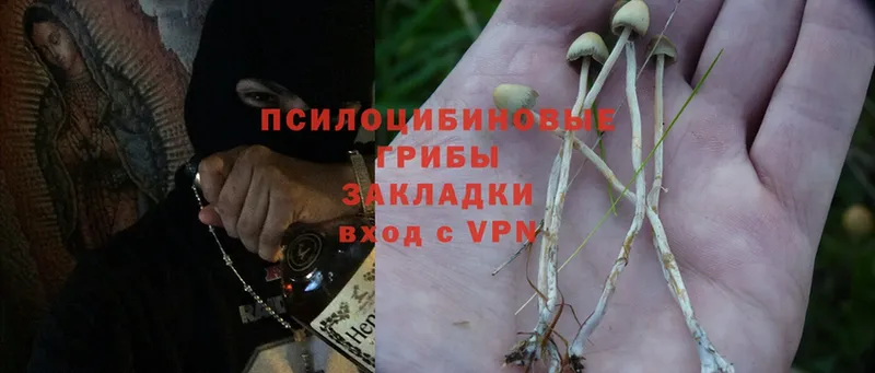 Псилоцибиновые грибы Psilocybine cubensis  купить наркотики цена  Нягань 